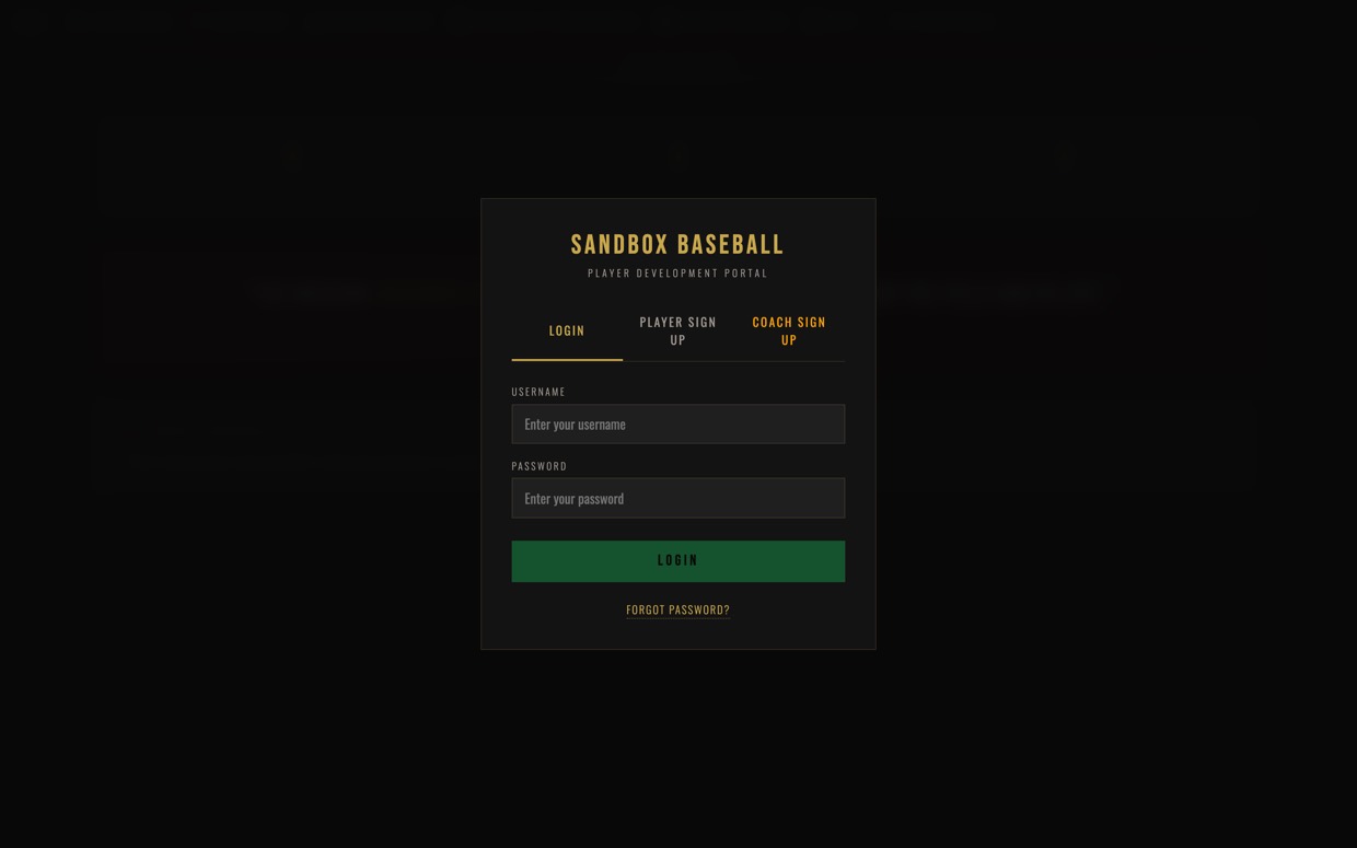 MHP portal screenshot: login team